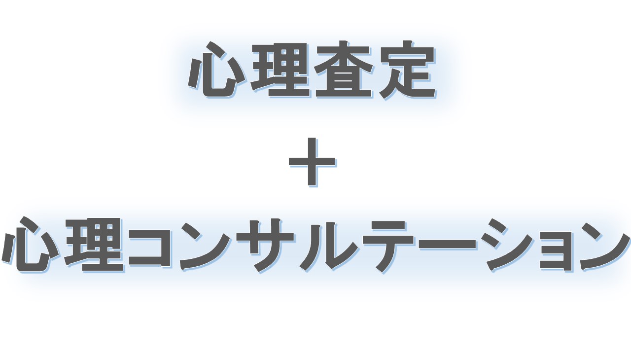 心理査定＋心理コンサルテーション